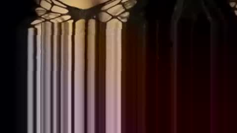 Forever Erotica online show from 12, 1, 2026