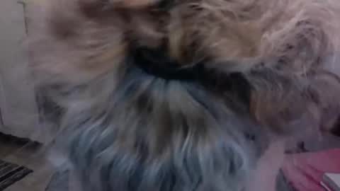 Snapshot of sexyfit58 chatting on 15, 12, 2024 SexyFit58 online show from 15, 12, 2024