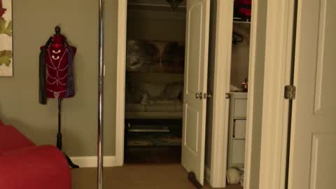 Princess Jackie and Daddy Steve online show from 11, 2, 2026