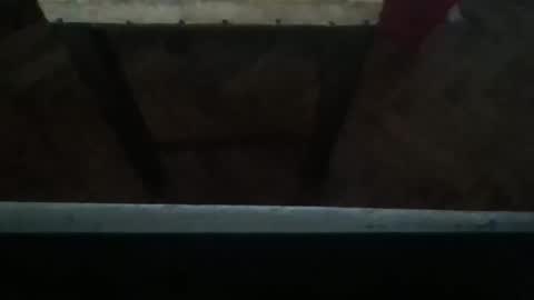 sexyyphilip online show from 12, 3, 2025