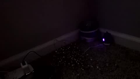 Snapshot of sgrbrnxxx chatting on 4, 3, 2026 Sugar Brown online show from 4, 3, 2026