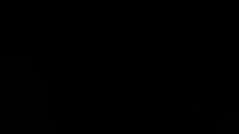 shagnasty95 online show from 1, 1, 2025