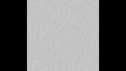 Snapshot of shane_and_shiloh chatting on 2, 2, 2026 Shane Shiloh online show from 2, 2, 2026