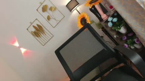 MISS SHANE online show from 9, 7, 2026
