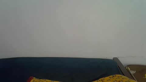 shanizz online show from 28, 5, 2026