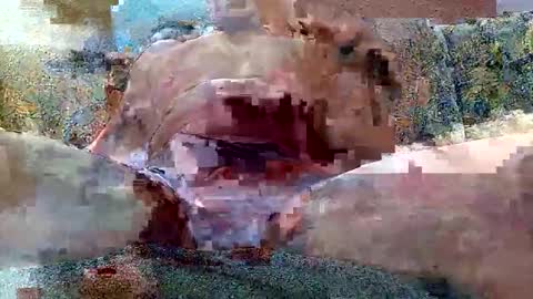 Snapshot of shaomy711 chatting on 26, 10, 2025 excelo21 online show from 26, 10, 2025