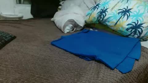 sharlot03 online show from 10, 2, 2025