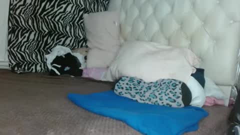 sharlot03 online show from 11, 3, 2025