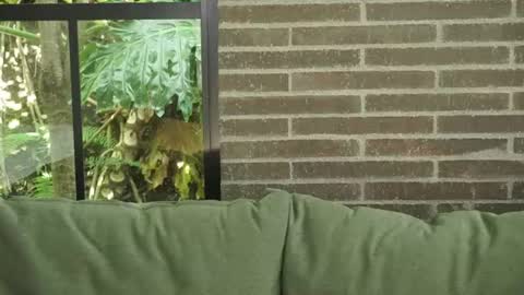 Snapshot of sharon__baker_ chatting on 24, 6, 2026 sharon baker online show from 24, 6, 2026
