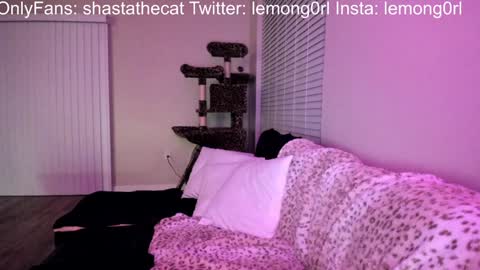 Snapshot of shastathecat chatting on 15, 12, 2024 Shasta online show from 15, 12, 2024
