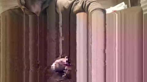 partycouple2night online show from 29, 12, 2024