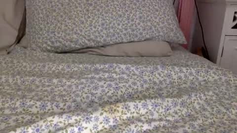 shavednsw online show from 28, 3, 2026