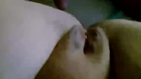 shay6371 online show from 28, 11, 2025