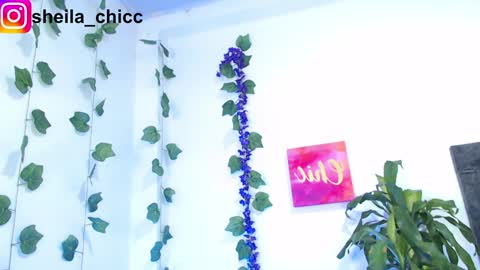 Snapshot of sheila_bigcok chatting on 9, 12, 2024 SHEILA  online show from 9, 12, 2024