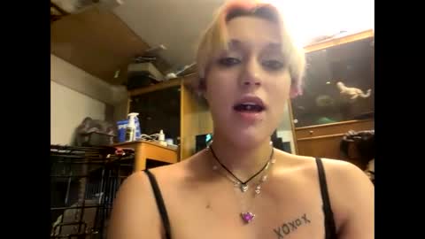 Snapshot of shelbybaby01 chatting on 29, 12, 2024 Shelby holes online show from 29, 12, 2024