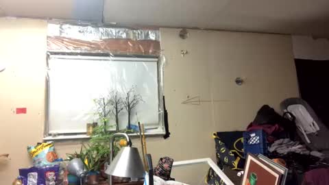 Snapshot of shelbybaby01 chatting on 10, 3, 2025 Shelby holes online show from 10, 3, 2025