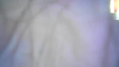 shellbel46290 online show from 16, 1, 2026