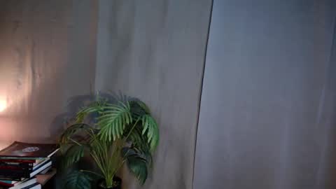 Lana But you can spell it backwards online show from 13, 3, 2026