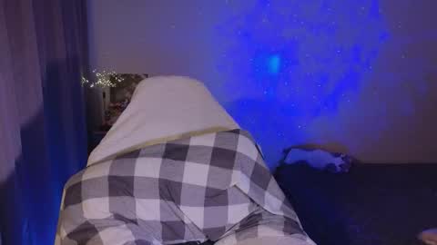 Sheyli online show from 1, 2, 2026