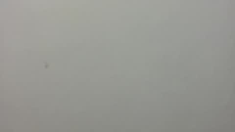 show_on_for_you online show from 24, 3, 2026