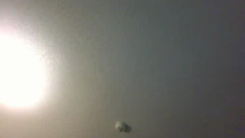 Snapshot of showuthed chatting on 14, 7, 2026 showuthed online show from 14, 7, 2026