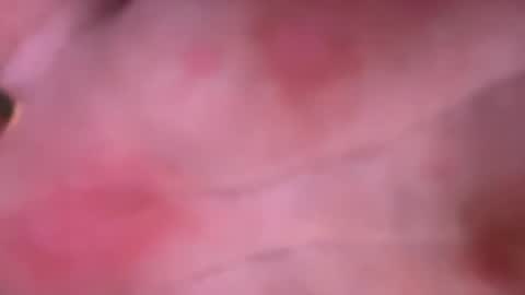Snapshot of shurd7 chatting on 22, 4, 2026 shurd7 online show from 22, 4, 2026