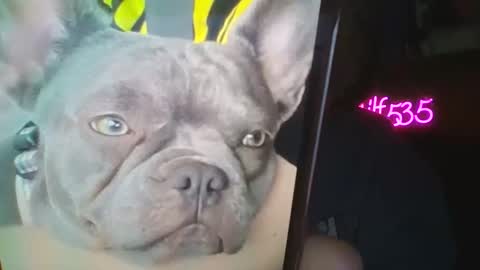 RBXs Princess online show from 27, 2, 2026