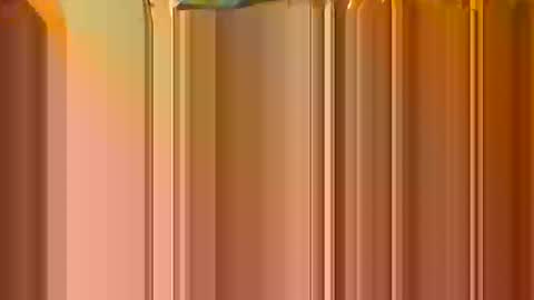 Bill online show from 23, 12, 2024