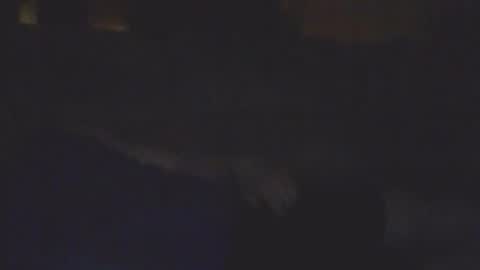 Snapshot of sickone6669947170 chatting on 11, 2, 2026 Bill online show from 11, 2, 2026