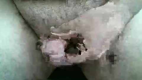 Snapshot of singlestr8man chatting on 9, 3, 2026 HardNSouthern online show from 9, 3, 2026