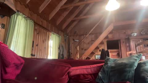 sirbubblesworth online show from 10, 1, 2025