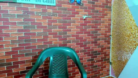 SIR RYANT online show from 27, 2, 2025