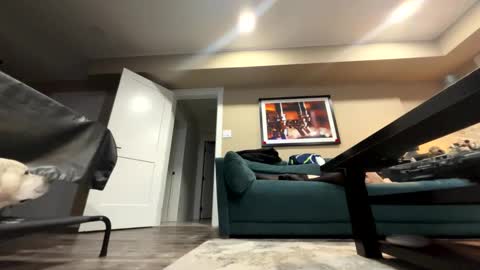 Snapshot of sissyinheelsbbc chatting on 9, 11, 2025 sissyinheelsbbc online show from 9, 11, 2025