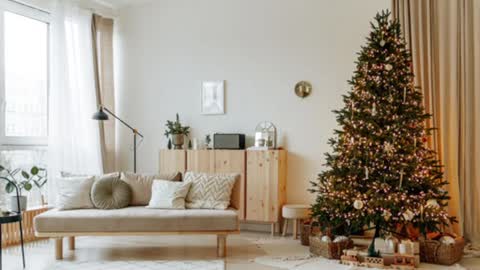 Elise online show from 19, 12, 2024