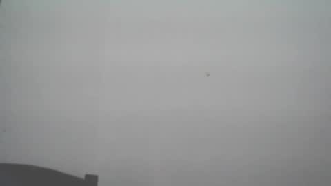 skady_coronado online show from 11, 11, 2025