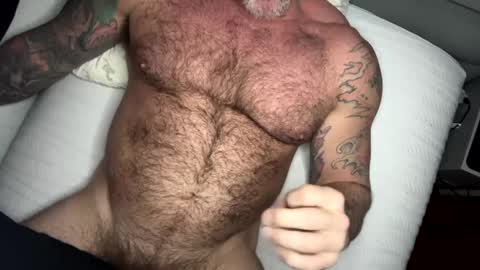 BEEF online show from 15, 2, 2025