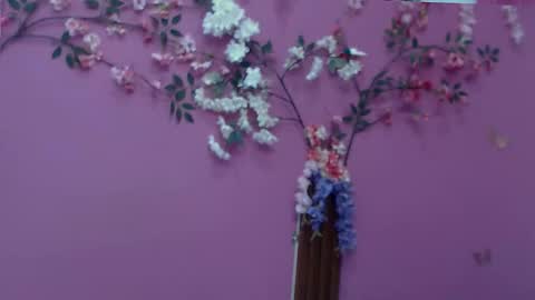 barbi online show from 2, 12, 2025