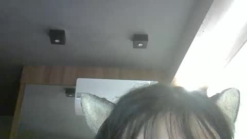 skinnykittencam online show from 14, 4, 2026