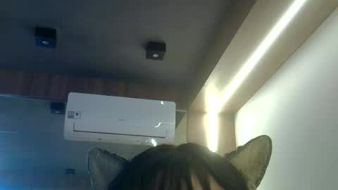 skinnykittencam online show from 23, 6, 2026