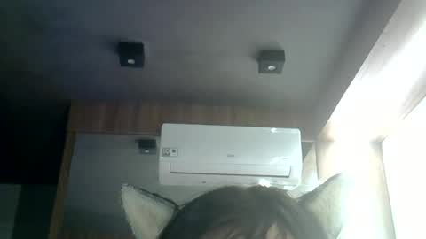 skinnykittencam online show from 25, 6, 2026