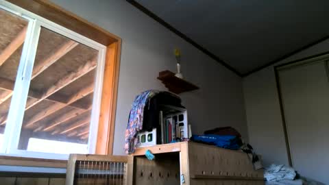 Snapshot of skinnystrong chatting on 31, 1, 2025 skinnystrong online show from 31, 1, 2025