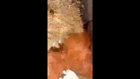 slapaho666 online show from 3, 10, 2025