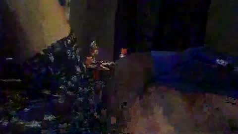 slimeguy315 online show from 20, 9, 2025