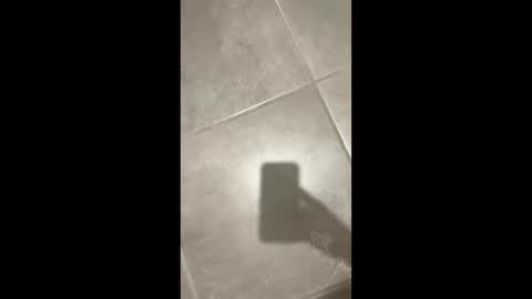 slimlord90 online show from 22, 12, 2024