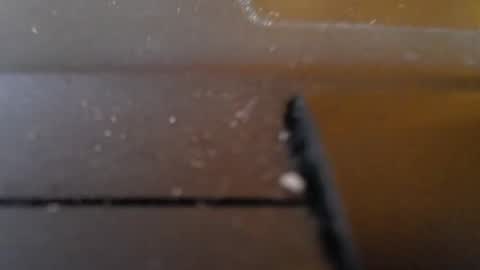 Jemila online show from 29, 1, 2025