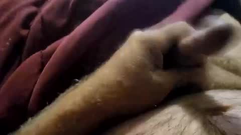 Snapshot of slitlicke69696969 chatting on 19, 9, 2025 slitlicke69696969 online show from 19, 9, 2025