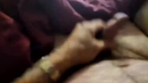 Snapshot of slitlicke69696969 chatting on 21, 9, 2025 slitlicke69696969 online show from 21, 9, 2025