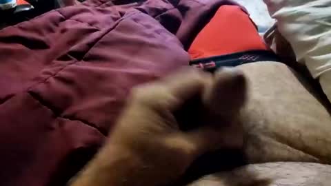 Snapshot of slitlicke69696969 chatting on 20, 10, 2025 slitlicke69696969 online show from 20, 10, 2025