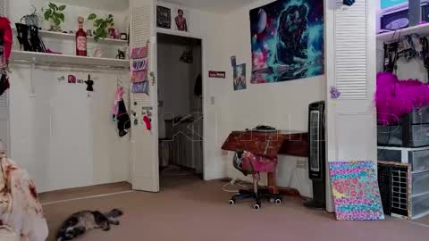 Snapshot of smokihippi chatting on 11, 11, 2025 Big Dawg online show from 11, 11, 2025