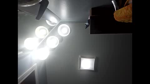 snarkyboy7 online show from 7, 2, 2026